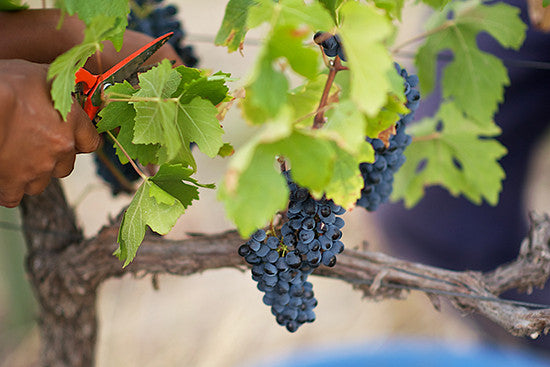 Fixing a FLAT (Sauce :-))