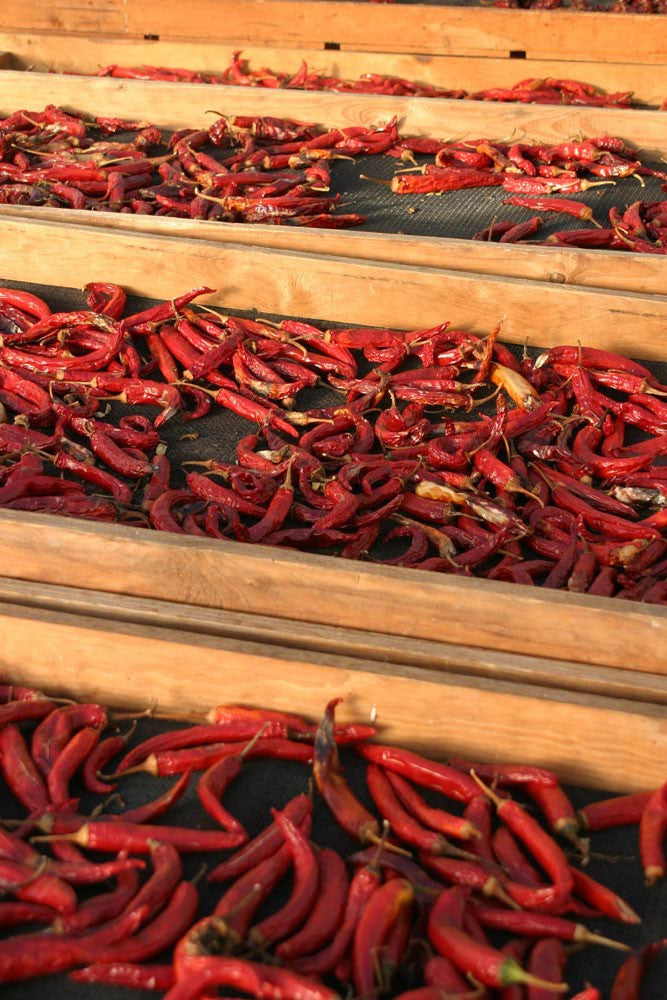 Creating a REAL Inferno...