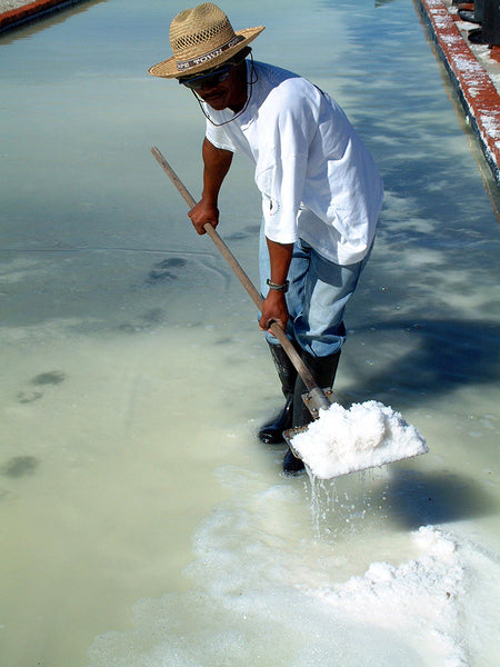 Harvesting the salt that formed in the brine pan