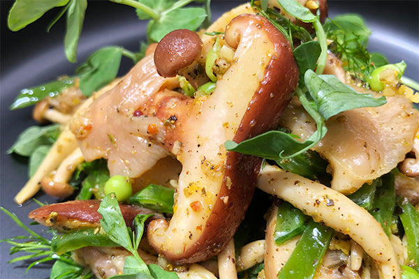 Wild Mushrooms pickled in Dill Mustard dressing on fresh pea-greens