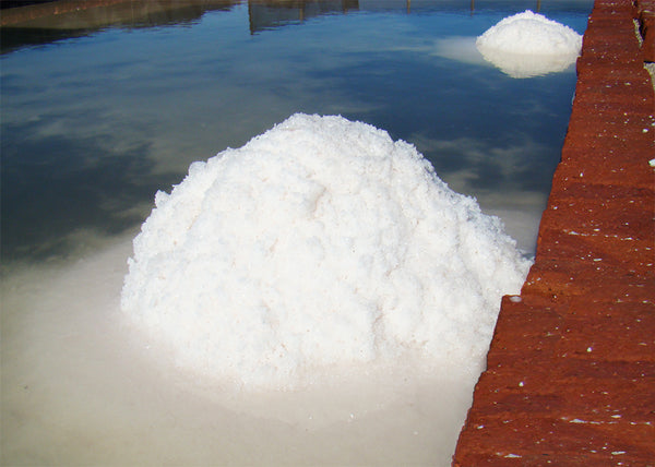 Heap of newly harvested salt