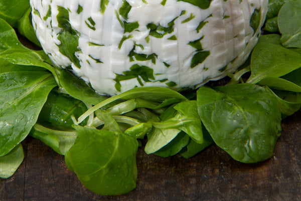 Ricotta and fresh basil on baby spinach leaves...